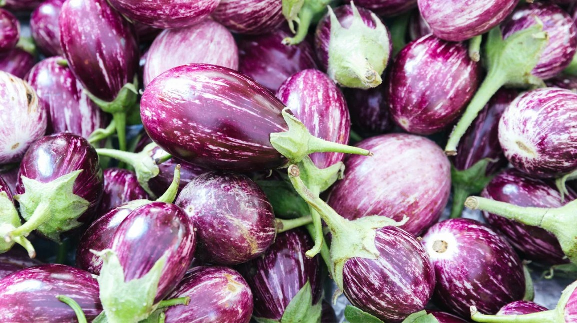 10 Quick and Simple Vegan Eggplant Recipes