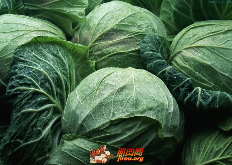 The role of cabbage in fitness